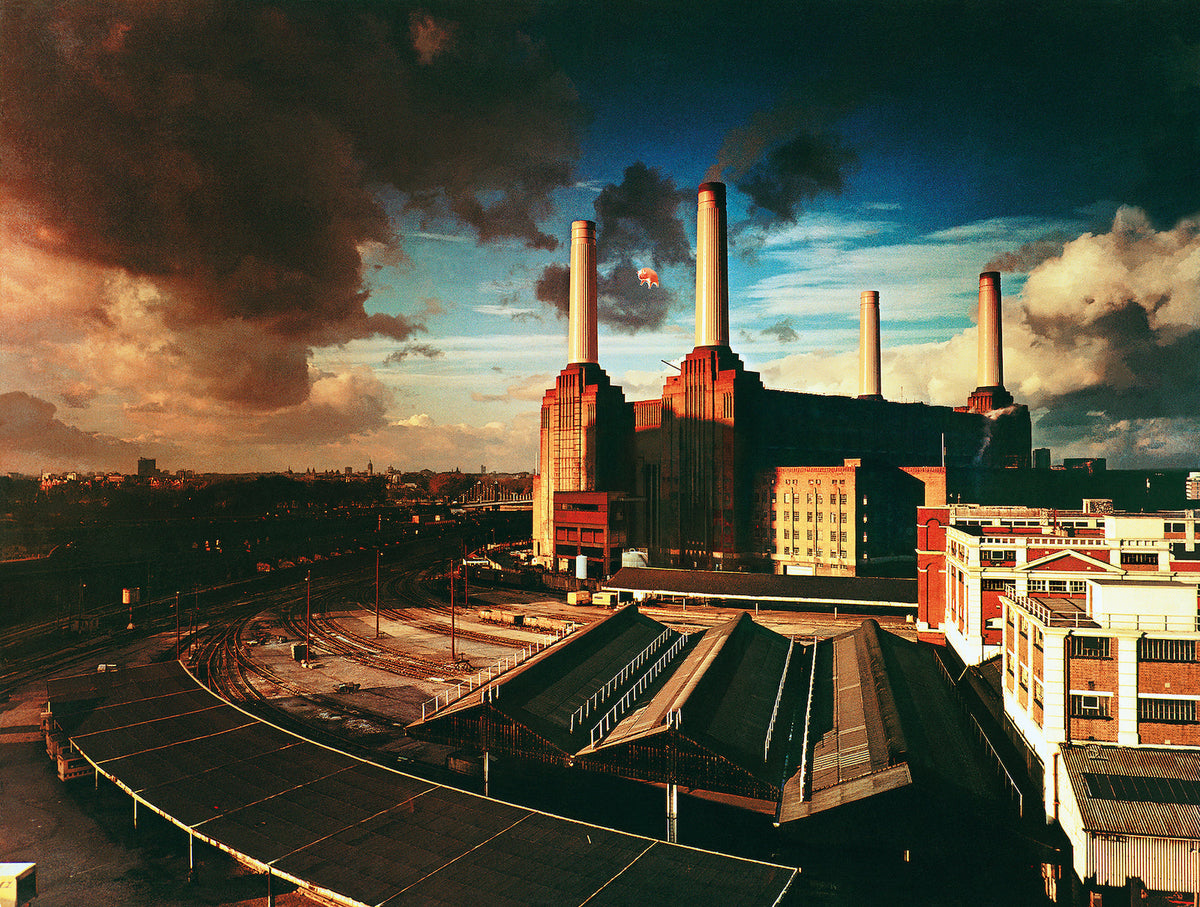 Best Pressing of Pink Floyd Animals on Vinyl | The Maple City Journal