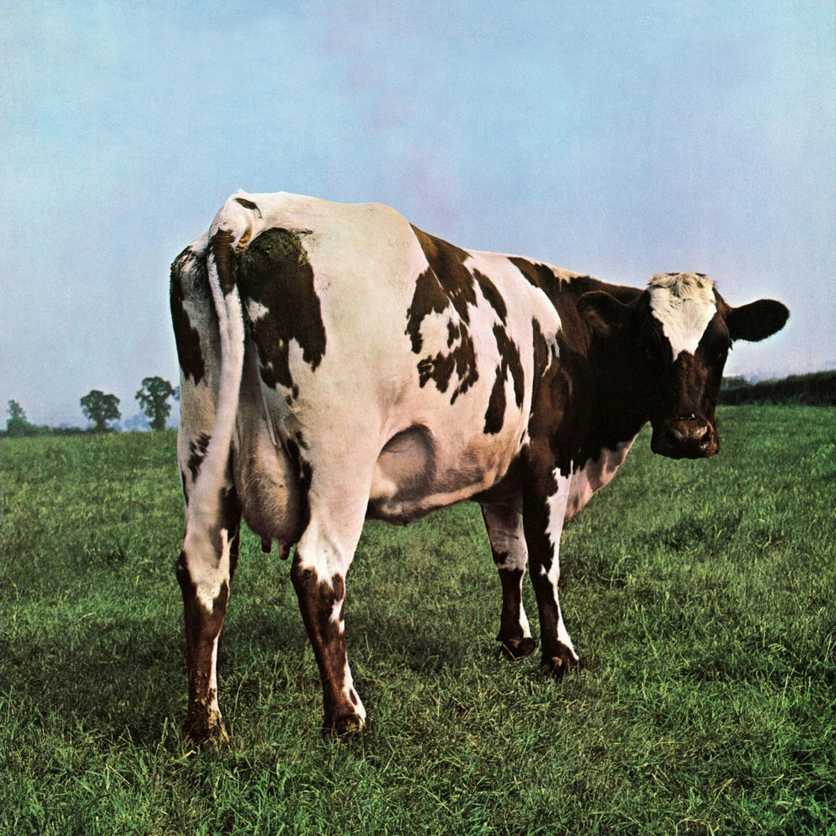 Best Pressing of Pink Floyd Atom Heart Mother on Vinyl | The Maple City Journal