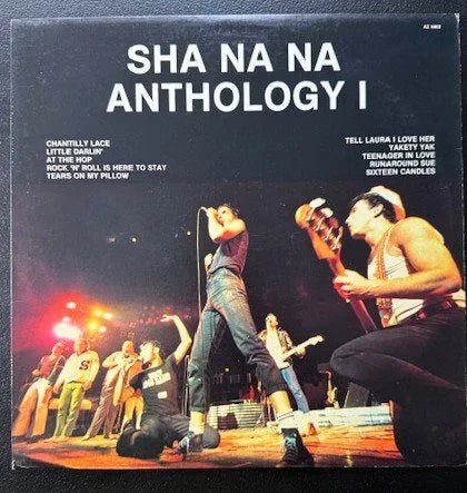 Sha Na Na – Anthology I (Used) - Maple City Music