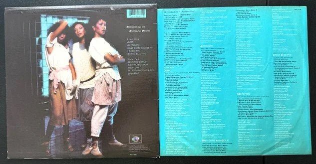 Pointer Sisters – Break Out (Used) - Maple City Music