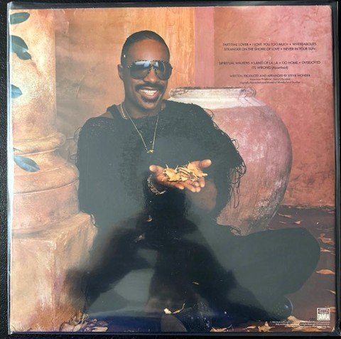 Stevie Wonder – In Square Circle (New) - Maple City Music