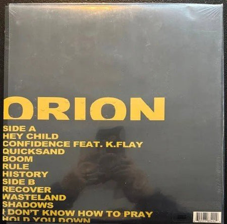 X Ambassadors – Orion (Vinyl, LP, 2019, KIDinaKORNER / Interscope B0030412-01) - Maple City Music