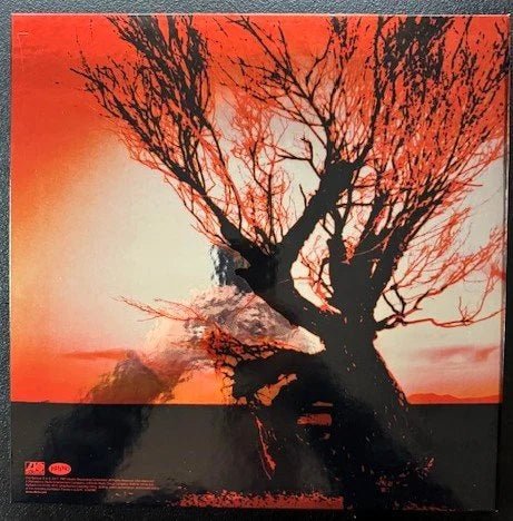 Stone Temple Pilots – Core (Used) - Maple City Music