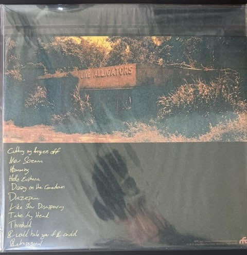 Turnover – Peripheral Vision (LP, 2022, Run For Cover Records RFC122, Clear Orange Vinyl Reissue)