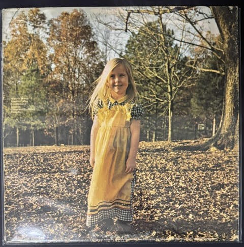 The Allman Brothers Band – Brothers And Sisters (Vinyl LP, 1973, Capricorn Records CP 0111, Gatefold)