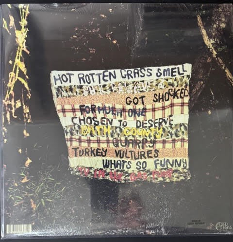 Wednesday – Rat Saw God (Vinyl LP, 2023, Dead Oceans DOC328, Black Vinyl)