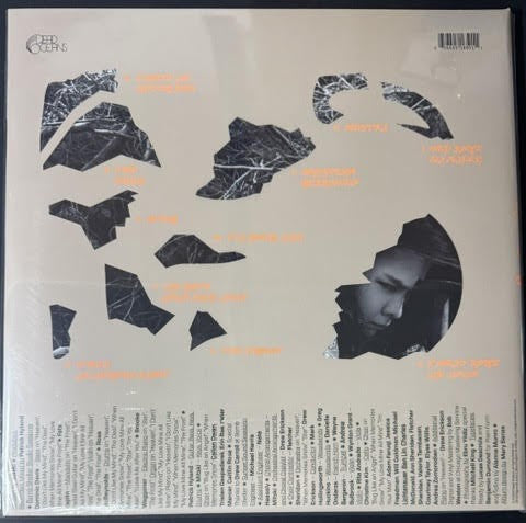 Mitski – The Land Is Inhospitable And So Are We (Vinyl LP, 2023, Dead Oceans DOC 350, Gatefold)