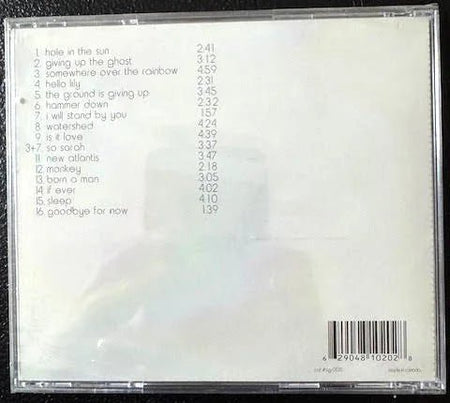 Aaron Flinn’s Salad Days – Giving Up The Ghost (CD, Album, Early 2000s, Sun God Records sgr005) - Maple City Music