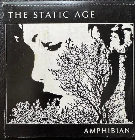 Amphibian – The Static Age (CD, Early 2000s, Independent) - Maple City Music