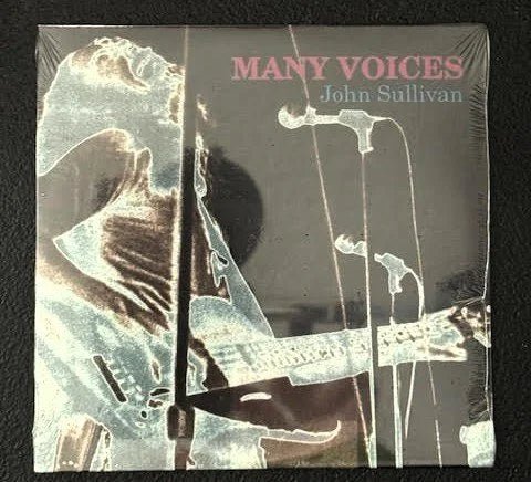 John Sullivan — Many Voices (New) - Maple City Music