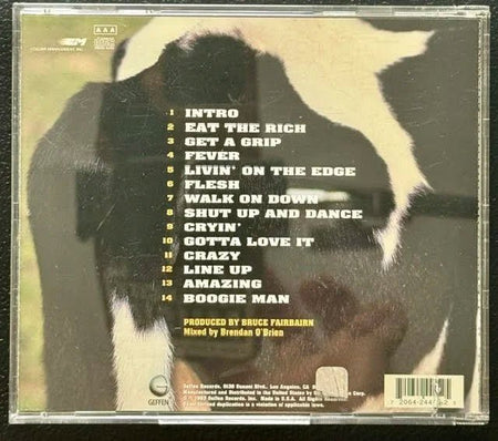 Aerosmith – Get A Grip (CD, 1993, Geffen GEFD-24455) - Maple City Music