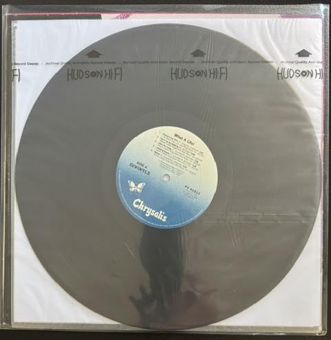 Divinyls – What A Life! (Vinyl, LP, Album, Club Edition, Carrollton Pressing, US, Chrysalis FV 41511)
