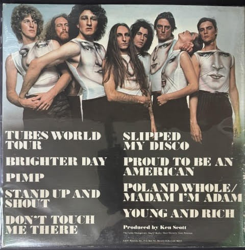 The Tubes – Young And Rich (Vinyl LP, 1976, A&M Records SP-4580, Pitman / Monarch Hybrid Pressing)