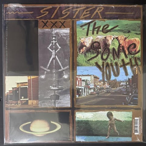 Sonic Youth – Sister (Vinyl LP, 2016, Goofin' Records Goo 020, Reissue)