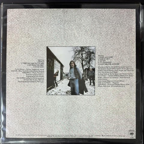 David Gilmour – David Gilmour (Vinyl LP, 1978, Columbia JC 35388, Terre Haute Press, Gatefold)