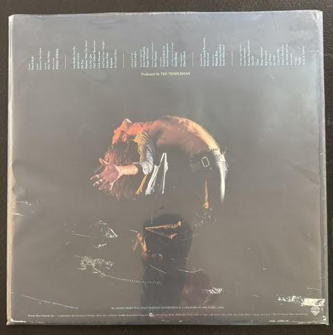 Van Halen – Van Halen (Vinyl LP, 1978, Warner Bros. Records BSK 3075, Jacksonville Pressing, Burbank/Palm Trees Labels)
