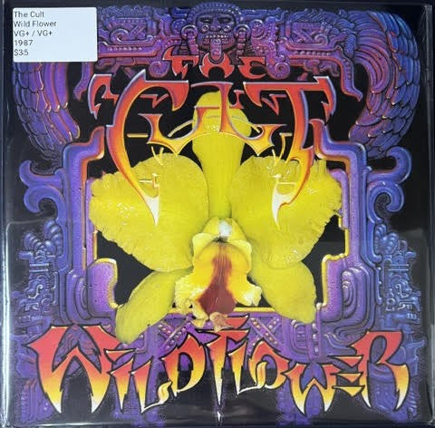 The Cult – Wild Flower (2 × Vinyl, 12", 33 ⅓ RPM, EP, Gatefold, 1987, Vertigo CULT 3)