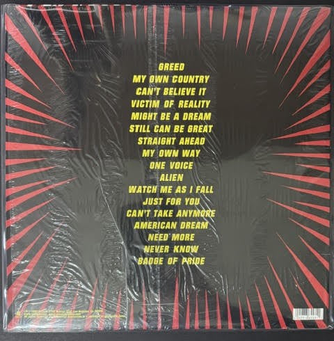 Pennywise – Straight Ahead (Vinyl LP, 1999, Epitaph 86553-1, U.S. Pressing)
