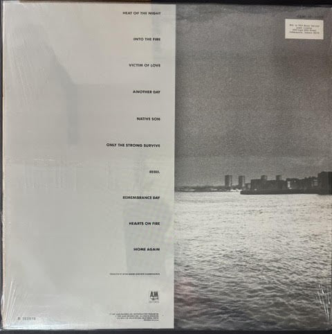 Bryan Adams – Into The Fire (Vinyl LP, 1987, A&M Records SP-3907, RCA Music Service Club Edition)
